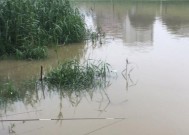 大雨天钓鱼技巧秋季有哪些？如何应对秋季大雨天气钓鱼？