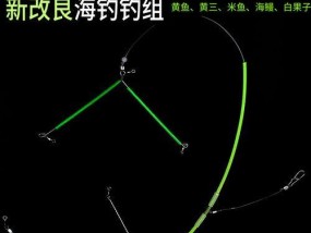 提高钓鱼技巧的抛串钩方法（技巧与策略助你成为钓鱼高手）
