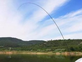 冬天江边钓鱼的技巧和方法是什么？如何提高冬季钓鱼的成功率？