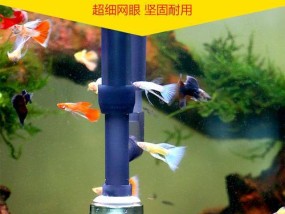 如何使用钓鱼抽水机高效抽鱼？常见问题有哪些？