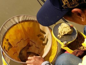 威海钓鱼技巧教程（钓鱼达人分享威海海钓经验）