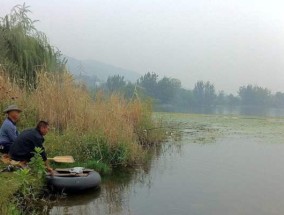 暴雨后钓鱼技巧有哪些？如何应对天气变化提高渔获？