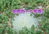 海南野钓技巧教学有哪些常见问题？如何解决？