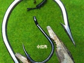 钓鱼技巧解析（掌握钓鱼技巧的关键）