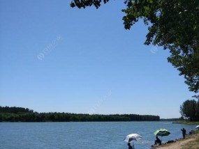 大溪河钓鱼技巧教学？如何提高钓鱼成功率？