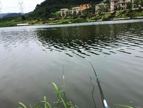 春天打窝钓鱼技巧是什么？如何提高春季钓鱼成功率？