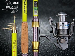 如何掌握钓鱼抛竿技巧以避免断竿？