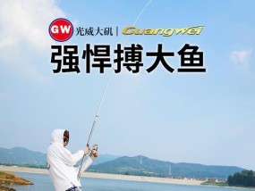 钓鱼63抛竿技巧（钓鱼高手教你如何利用63抛竿技巧提升钓鱼成功率）