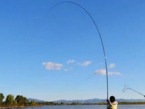 通海河钓鱼技巧（掌握精湛技艺）