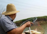 揭秘钓鱼打虚窝的方法与技巧（掌握4个关键技巧，成为高手！）