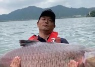 冬流水河钓鱼技巧有哪些？如何应对冬季钓鱼的挑战？