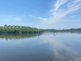 家养池钓鱼技巧（打造舒适鱼池的关键点）