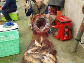 北方大棚钓鱼技巧有哪些？如何应对大棚钓鱼常见问题？