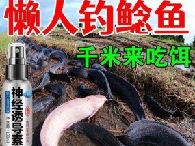 钓鱼技巧小药开饵怎么用？效果如何提升？