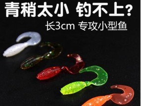 小软竿钓鱼技巧大揭秘（轻松掌握小软竿钓鱼的窍门）