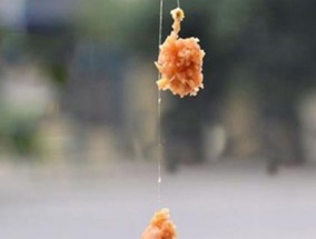 北方仲秋钓鱼技巧有哪些？如何提高钓鱼成功率？