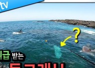 海里钓鱼技巧和方法有哪些？如何提高海钓成功率？