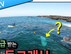 海里钓鱼技巧和方法有哪些？如何提高海钓成功率？