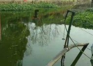 冬季走水河钓鱼技巧教程（冬季走水河钓鱼技巧）