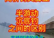 海里桥墩下钓鱼技巧有哪些？如何提高钓获率？