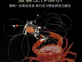 钓螃蟹技巧大揭秘（以空鱼钩钓螃蟹）