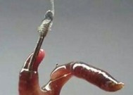 钓鱼技巧大揭秘（以可乐雪碧为饵）
