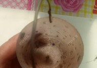 如何自制钓鱼饵料？打窝技巧有哪些常见问题？