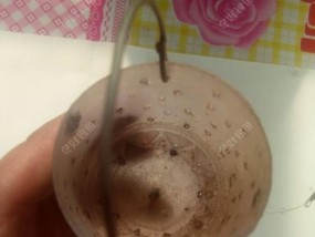 如何自制钓鱼饵料？打窝技巧有哪些常见问题？