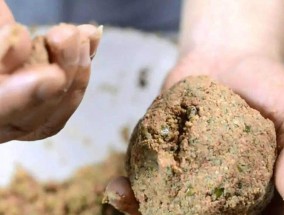 冬至过后野钓鲫鱼技巧和方法是什么？如何提高钓鲫鱼的成功率？