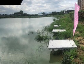 探秘以鱼塘流水钓鱼技巧（细节决定成败）