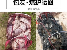 摇三摇钓鱼技巧有哪些？如何提高钓鱼成功率？