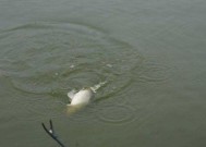 海上钓鱼技巧有哪些？出海钓鱼需要注意什么？