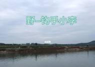 杭州春季钓鱼技巧有哪些？如何提高钓鱼成功率？