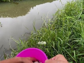 学习钓鱼技巧的秘籍（成为高手的关键要点与技巧）
