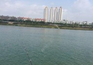 龙抬头钓鱼技巧（钓鱼高手分享的龙抬头秘籍）