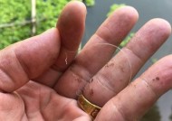 海里钓鱼挂底技巧是什么？如何有效避免挂底？