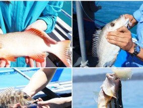 海沟钓鱼的绝妙方法与技巧（掌握这一关键）