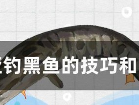 岸边钓黄鱼黑鱼技巧有哪些？如何提高钓鱼成功率？