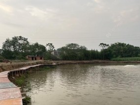 黑坑热塘钓鱼技巧（掌握黑坑热塘）