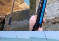 冬天近海钓鱼的技巧和方法是什么？如何提高钓鱼成功率？