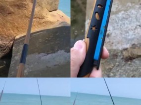 冬天近海钓鱼的技巧和方法是什么？如何提高钓鱼成功率？