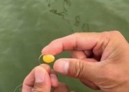 钓鱼新手必备（轻松掌握的钓鱼技巧，提高钓鱼成功率！）