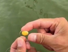 钓鱼新手必备（轻松掌握的钓鱼技巧，提高钓鱼成功率！）