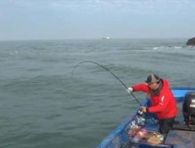 浮游钓鲈鱼的技巧（掌握钓鲈鱼的窍门）