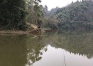 大型水库钓鱼的技巧有哪些？如何提高钓鱼成功率？