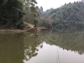 大型水库钓鱼的技巧有哪些？如何提高钓鱼成功率？