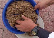 黑坑偷驴实战技巧有哪些？如何快速提升钓鱼技能？