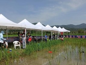 官湖钓鱼技巧（掌握关键诀窍）