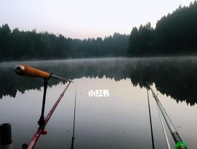 钓鱼人生活技巧（掌握这些技巧，成为钓鱼高手）