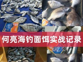 探秘海南船钓沉底钓黑鲷的技巧（海南船钓技巧分享，助你钓到丰腴黑鲷）